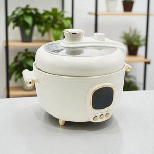 Pressure Cooker (ဒယ်အိုး)